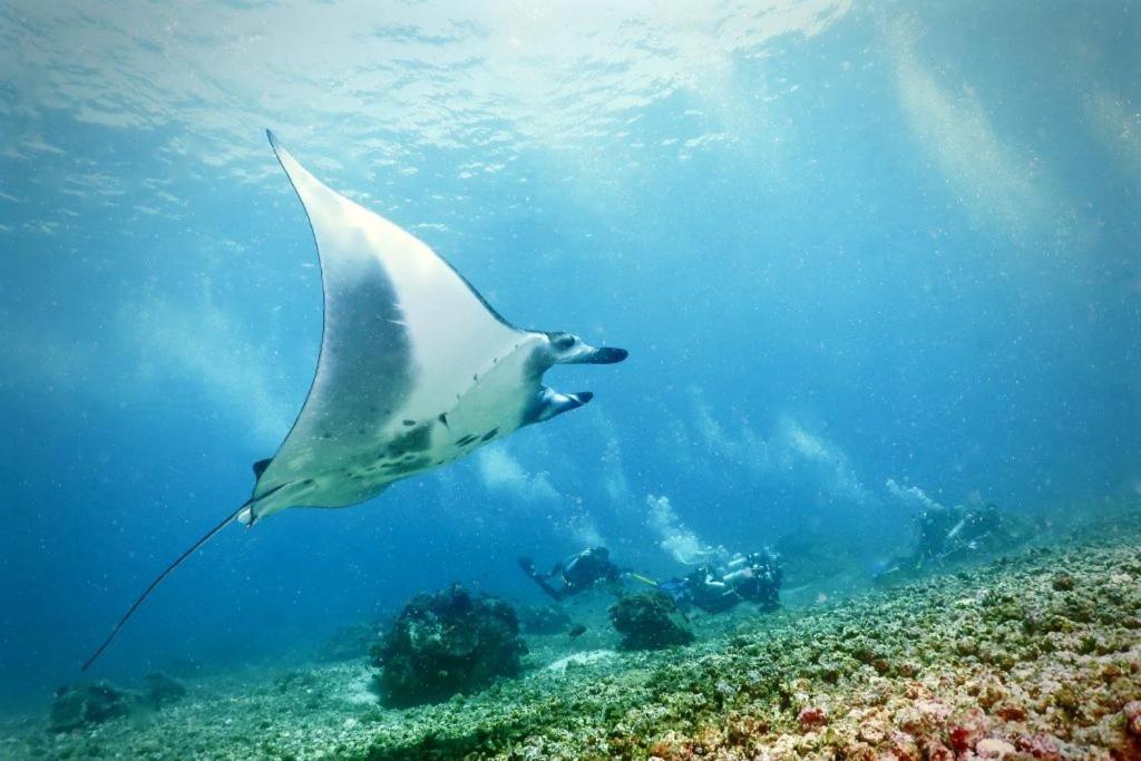Komodo Resort Sebayur Екстериор снимка
