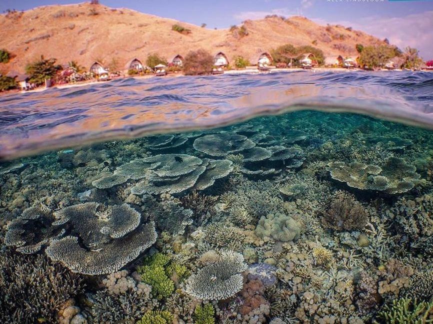 Komodo Resort Sebayur Екстериор снимка
